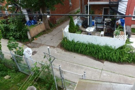 Photograph of back yards by Neath Turcot